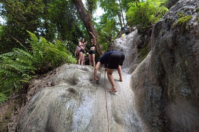 CHIANG MAI: Join Tour Half day Doi Suthep-Doi Pui Meo Village - Price and Value: Is $38.59 Worth It?