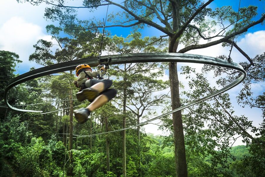 Chiang Mai: Jungle Flight Zip Line Roller Coaster - Entering the 1000-Year-Old Forest Above Chiang Mai