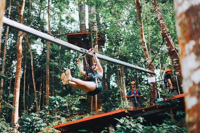 Chiang Mai: Jungle Flight Zip Line Roller Coaster - The Course: 800-Meter Zip Lines and a Roller-Coaster Finale