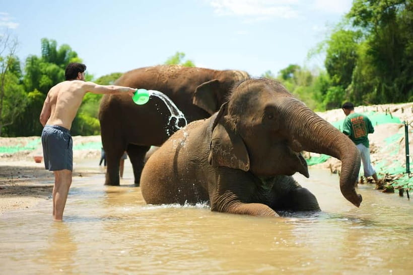 Chiang Mai: Jungle Jumbo Elephant Sanctuary with Waterfall - The 6-hour flow in Chiang Mai, and why it works