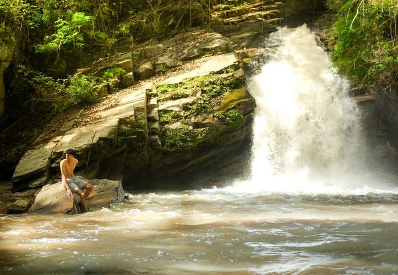 Chiang Mai: Jungle Jumbo Elephant Sanctuary with Waterfall - Jungle hike to the secret waterfall, plus the repellent rule
