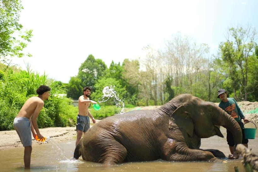 Chiang Mai: Jungle Jumbo Elephant Sanctuary with Waterfall - The waterfall swim: how to enjoy it even if conditions change