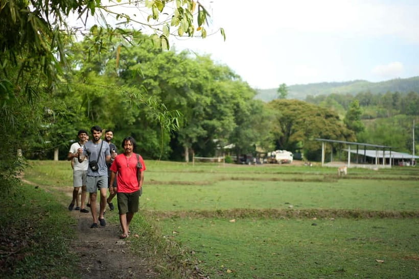Chiang Mai: Jungle Jumbo Elephant Sanctuary with Waterfall - No riding is the rule, but ethics still depend on the day
