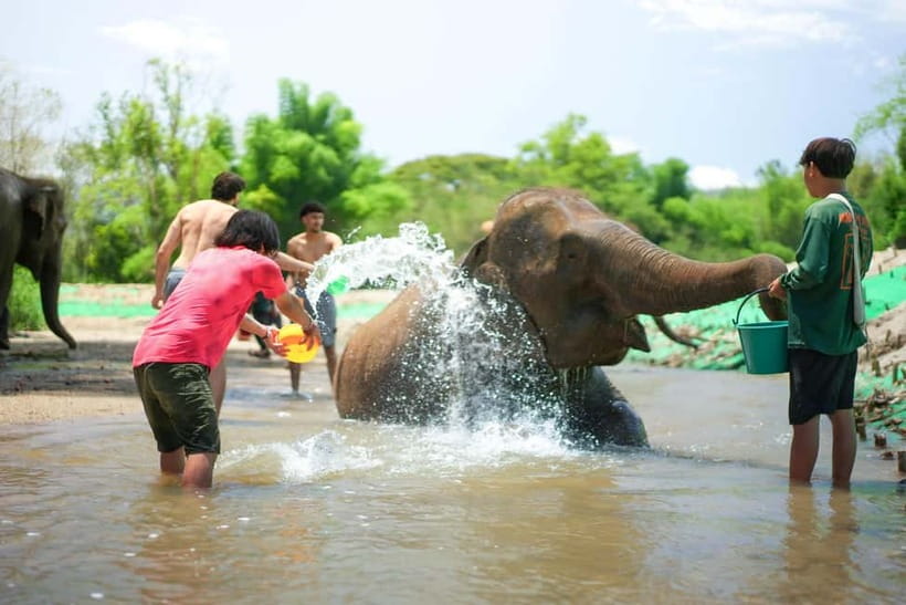 Chiang Mai: Jungle Jumbo Elephant Sanctuary with Waterfall - Village walk first, what you’ll actually do