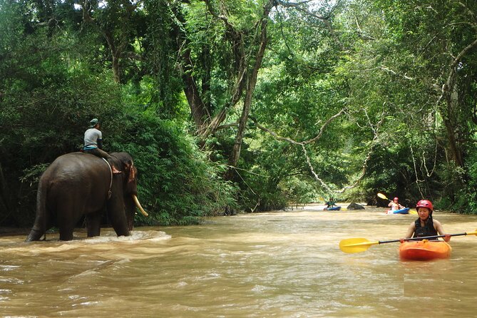 Chiang Mai: Jungle Kayak Adventure with Rapids & Elephants - Lost Canyon and the option for Class III and IV rapids