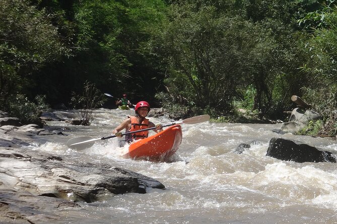 Chiang Mai: Jungle Kayak Adventure with Rapids & Elephants - Price and value: what $81.24 buys you here