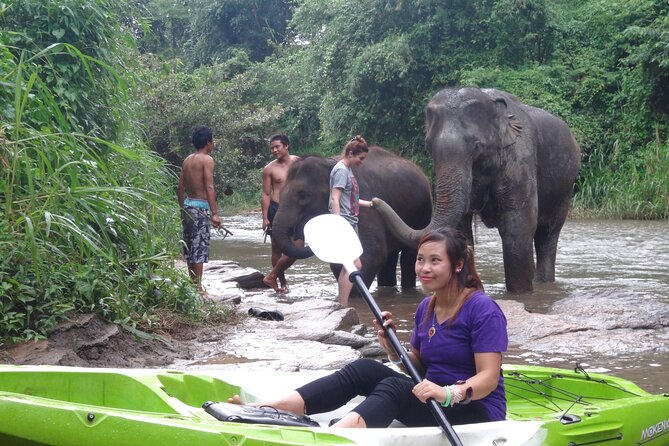 Chiang Mai: Jungle Kayak Adventure with Rapids & Elephants - Who should book this, and who should choose a different day