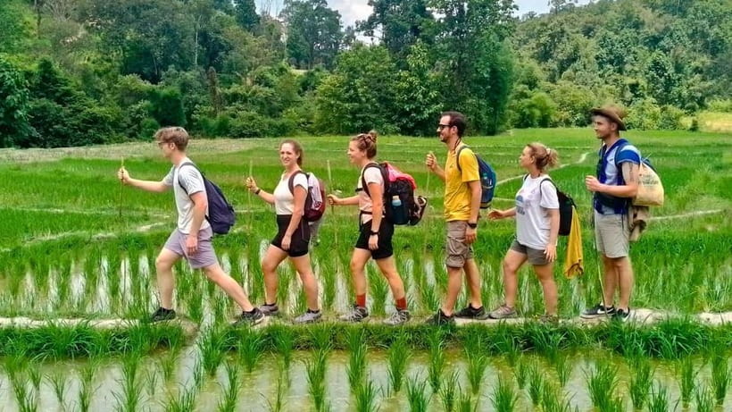 Chiang Mai: Jungle Trek, Elephants care & Bamboo Rafting - Key things to know before you go