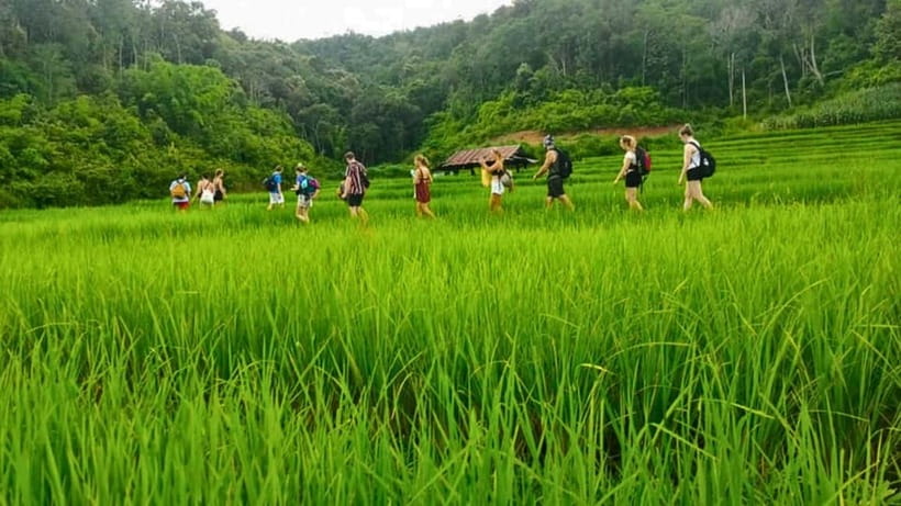Chiang Mai: Jungle Trek, Elephants care & Bamboo Rafting - Waterfall time with a group decision, what to plan for