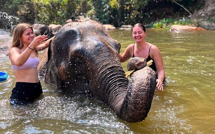 Chiang Mai: Jungle Trek, Elephants care & Bamboo Rafting - Mae Wang and Mae Win photo stops, why these small moments matter
