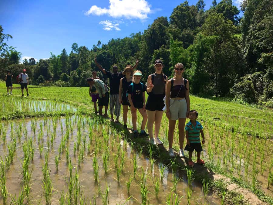 Chiang Mai: Karen Tribe & Dual Waterfalls - Private Day Trek - Mae Wang in one day, with real village time