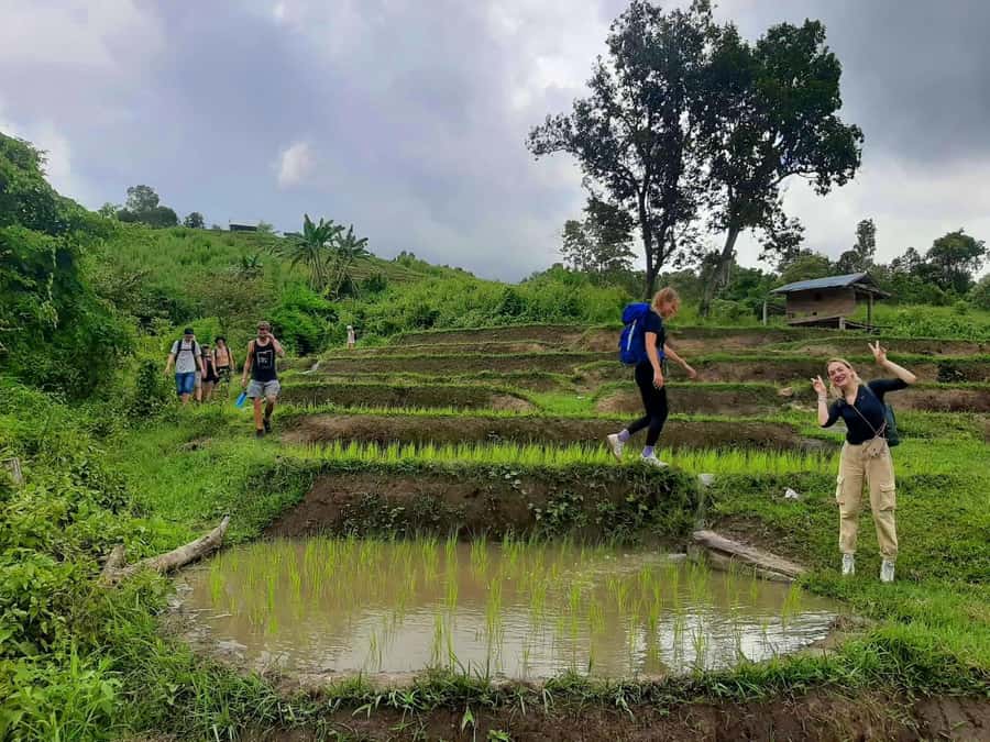 Chiang Mai: Karen Tribe & Dual Waterfalls - Private Day Trek - From village to the second waterfall: bamboo and evergreen forest