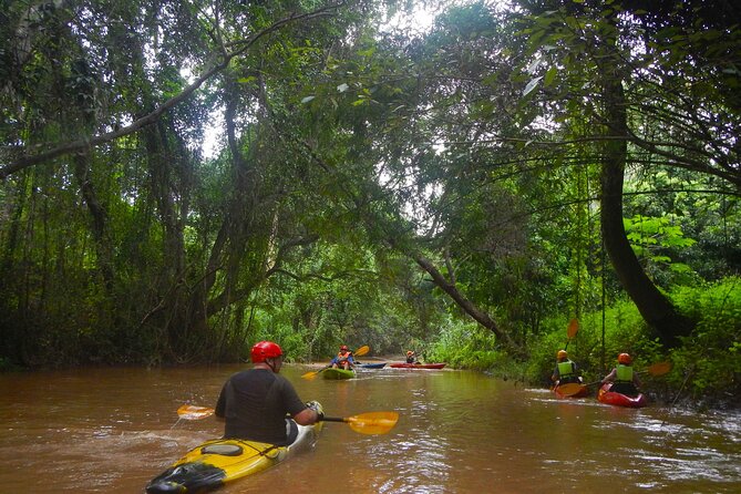 Chiang Mai : Kayak the Jungle Rivers of Chiang Dao Valley! - Beginner Kayaking That Stays Practical (Single and Double Boats)