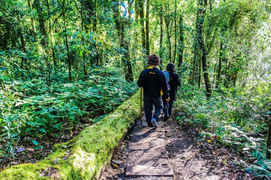 Chiang Mai: Kew Mae Pan Nature Trail & Doi Inthanon Day Trip - Should you book this Chiang Mai Kew Mae Pan and Doi Inthanon tour?
