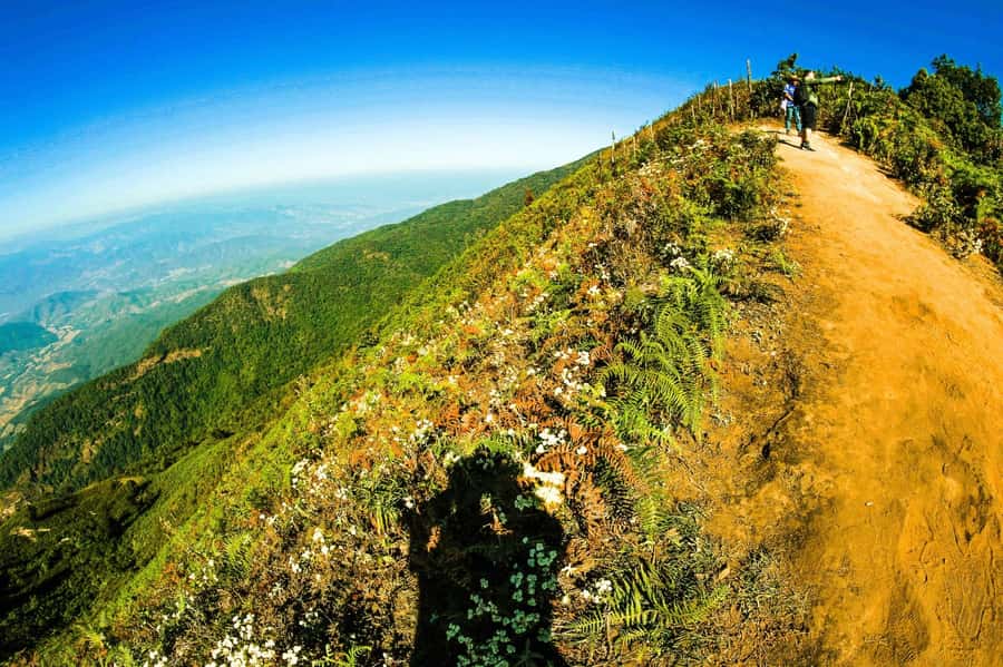 Chiang Mai: Kew Mae Pan Nature Trail & Doi Inthanon Day Trip - Who should book this Doi Inthanon and Kew Mae Pan day trip?