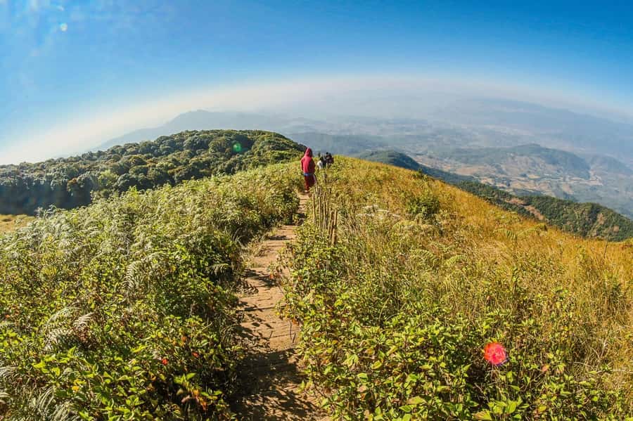 Chiang Mai: Kew Mae Pan Nature Trail & Doi Inthanon Day Trip - Kew Mae Pan Nature Trail: a two-hour forest walk that’s about senses