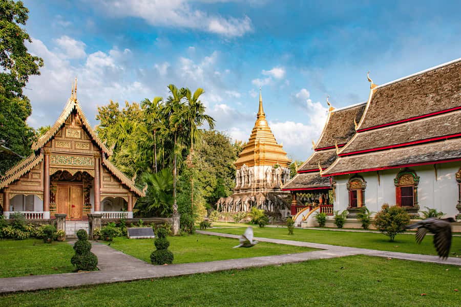 Chiang Mai Light: Tuk Tuk Night Tour with Temples & Markets - The Role of Your Guide: Friendly Hosts Make the Difference