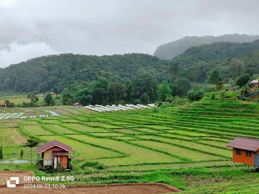 Chiang Mai: Mae Ya Waterfall & Pha Dok Siew Trail Trek - Price and Value: Is $80 Fair for This Kind of Day?