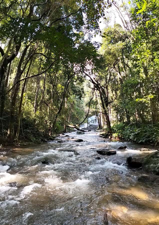 Chiang Mai: Mae Ya Waterfall & Pha Dok Siew Trail Trek - Timing, Pickup, and What to Expect on the Ground