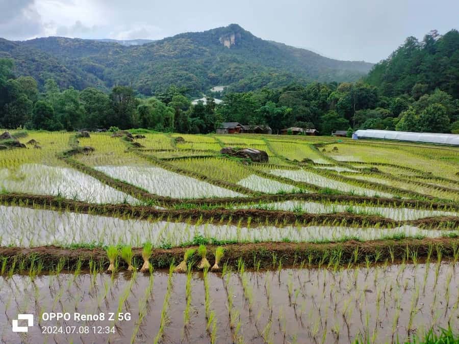 Chiang Mai: Mae Ya Waterfall & Pha Dok Siew Trail Trek - Wachiratharn Waterfall, the First Big Wow