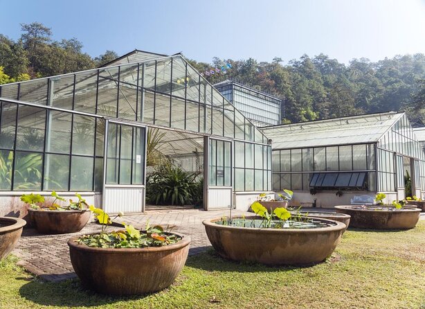 Chiang Mai Mon Jam Highlands and Pongyang Full-Day Private Tour - Key points before you go