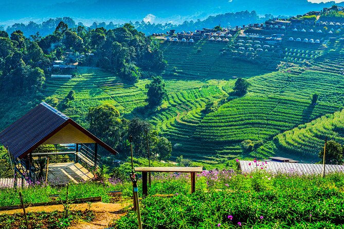 Chiang Mai Mon Jam Highlands and Pongyang Full-Day Private Tour - Why this Mon Jam to Pong Yang day plan makes sense