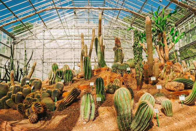 Chiang Mai Mon Jam Highlands and Pongyang Full-Day Private Tour - Pong Yang Jungle Coaster: thrills are included, but extras cost more