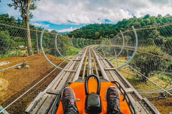 Chiang Mai Mon Jam Highlands and Pongyang Full-Day Private Tour - Who should book this Chiang Mai Mon Jam Highlands and Pongyang tour