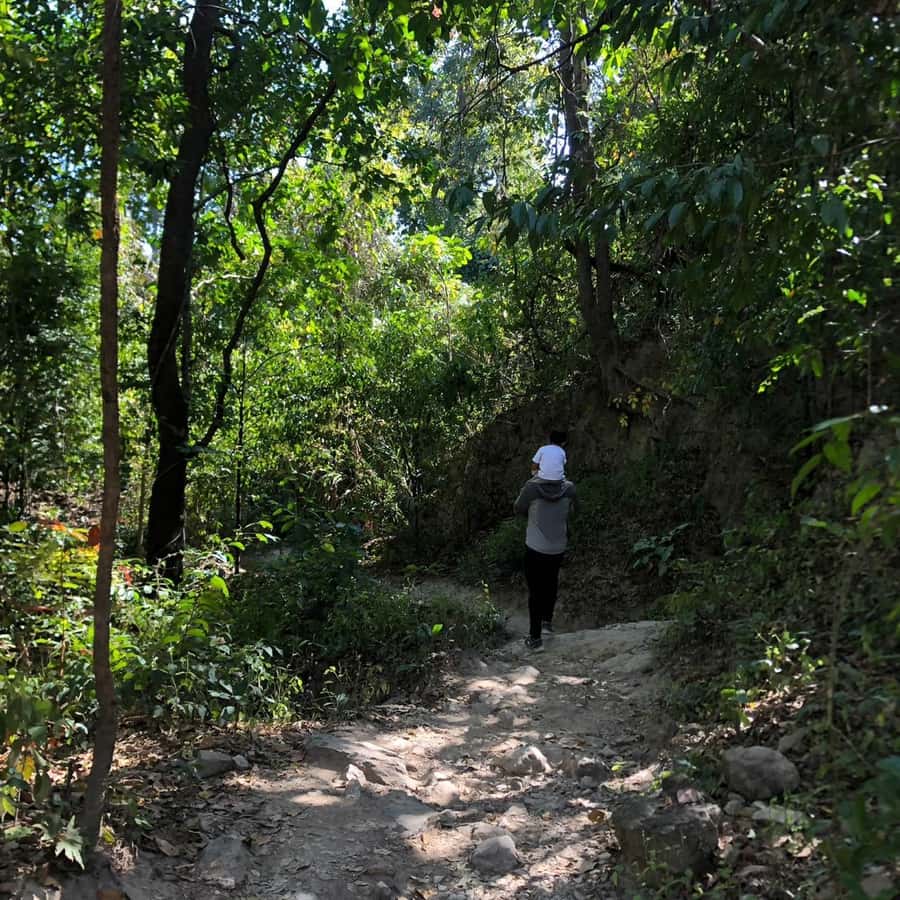 Chiang Mai Monk's Trail Wat Pha Lat & Visit Wat Doi Suthep - Wat Pha Lat: The Peaceful Jungle Temple That Feels Like It’s Keeping Secrets
