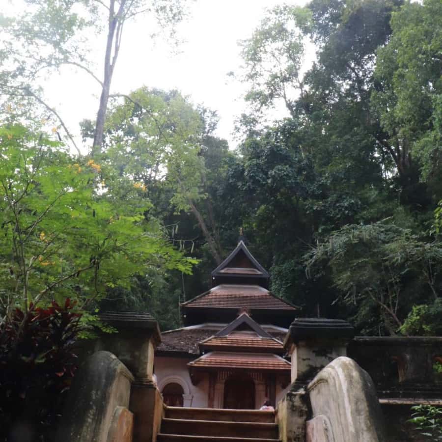 Chiang Mai Monk's Trail Wat Pha Lat & Visit Wat Doi Suthep - 306 Steps and Cable Car Support: How to Do Doi Suthep Without Killing Your Day
