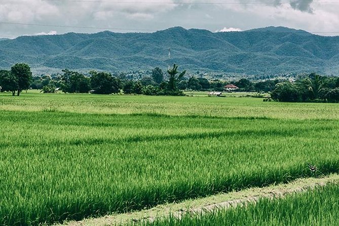 Chiang Mai Muay Thai Boxing Experience - Why the included lunch feels like smart planning