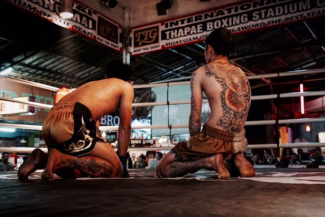 Chiang Mai Muay Thai Boxing Live at Thapae Stadium - Comfort Reality Check: Heat, Seats, and the Stadium Vibe