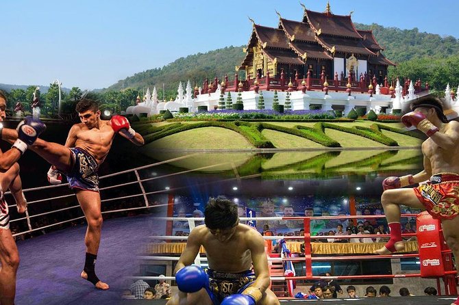 Chiang Mai Muay Thai Boxing Live at Thapae Stadium - Choosing Seats: Standard, Ringside, or VIP Air-Conditioned Comfort