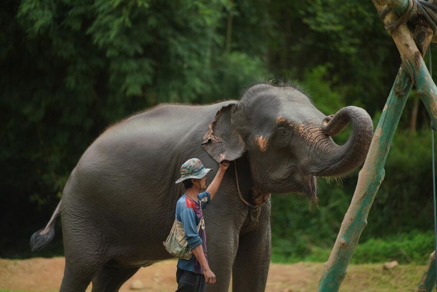 Chiang Mai: National Elephant Care, Rafting, & Ziplines Trip - Long-Neck Karen Village: What Free Entry Means in Real Life