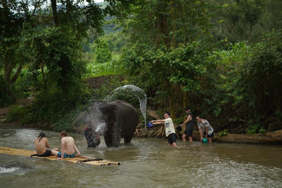 Chiang Mai: National Elephant Care, Rafting, & Ziplines Trip - Mae Wang Elephant Habitat: What the Visit Feels Like