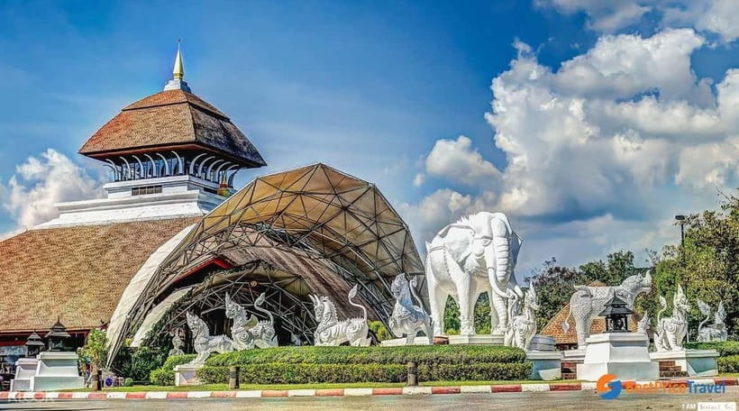 Chiang Mai Night Safari: Entry Ticket with Tram Ride - Chiang Mai Night Safari at a glance, $34 for a full night out