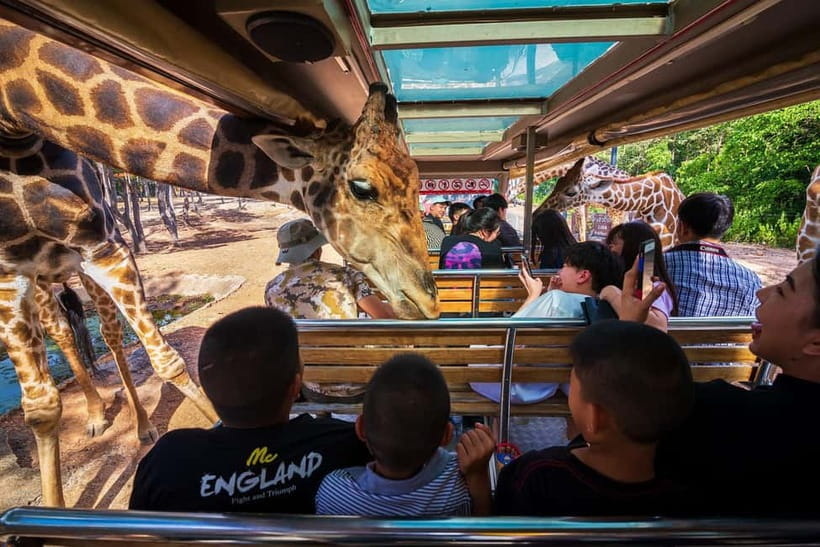 Chiang Mai Night Safari Ticket & Tram Rides Optional Pickup - Key Things I’d Focus On