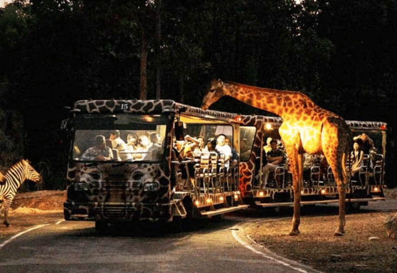 Chiang Mai: Night Safari Ticket with Transfer - The three park zones: Savanna Safari, Predator Prowl, and Jaguar Trail