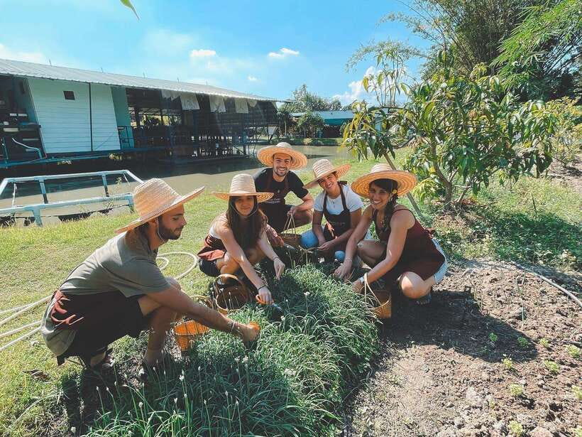 Chiang Mai Organic Thai Cooking Experience - Who This Is Perfect For (And Who Should Skip It)