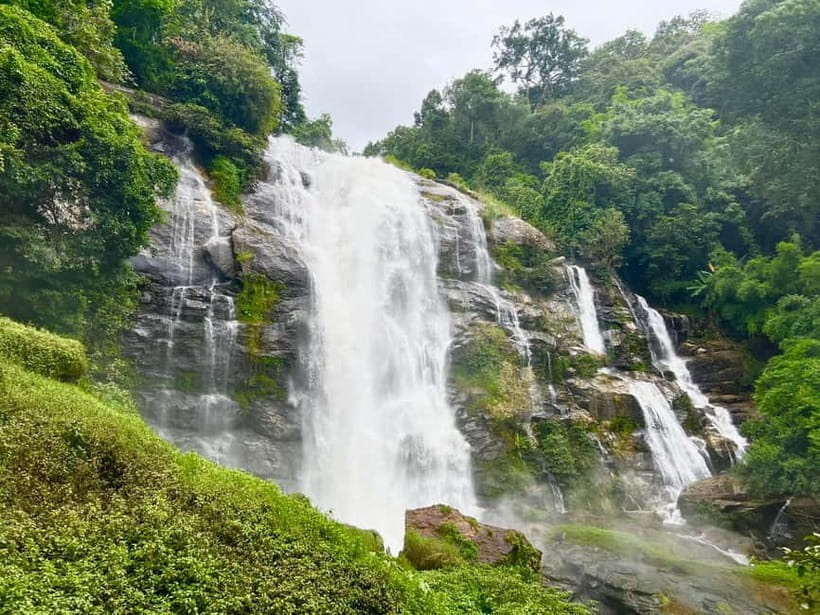 Chiang Mai : Pa Bong Piang Rice Terraces & Doi Inthanon - Who Should Book This One-Day Doi Inthanon and Pa Bong Piang Trip
