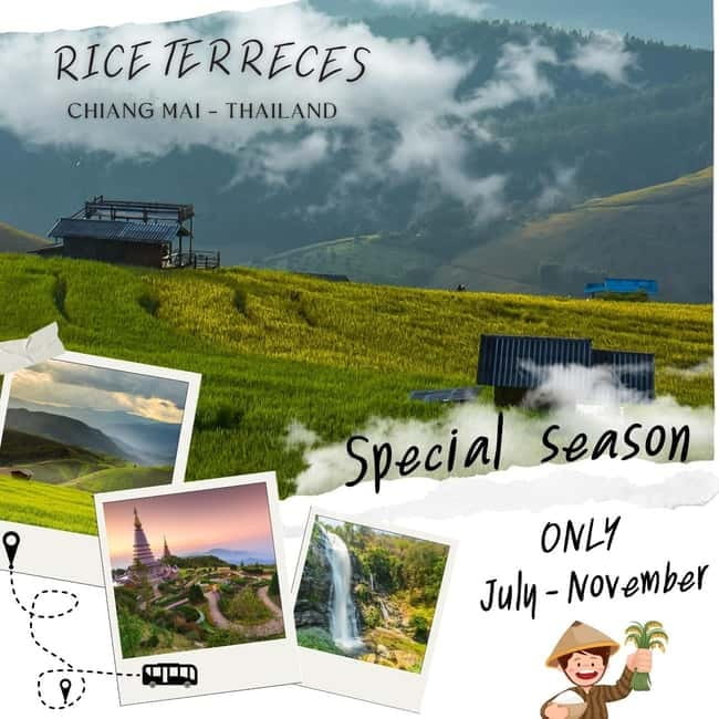 Chiang Mai : Pa Bong Piang Rice Terraces & Doi Inthanon - Linking Rice Terraces and Doi Inthanon in One Day