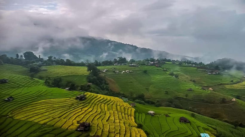 Chiang Mai : Pa Bong Piang Rice Terraces & Doi Inthanon - Ang Ka Nature Trail Near the Summit
