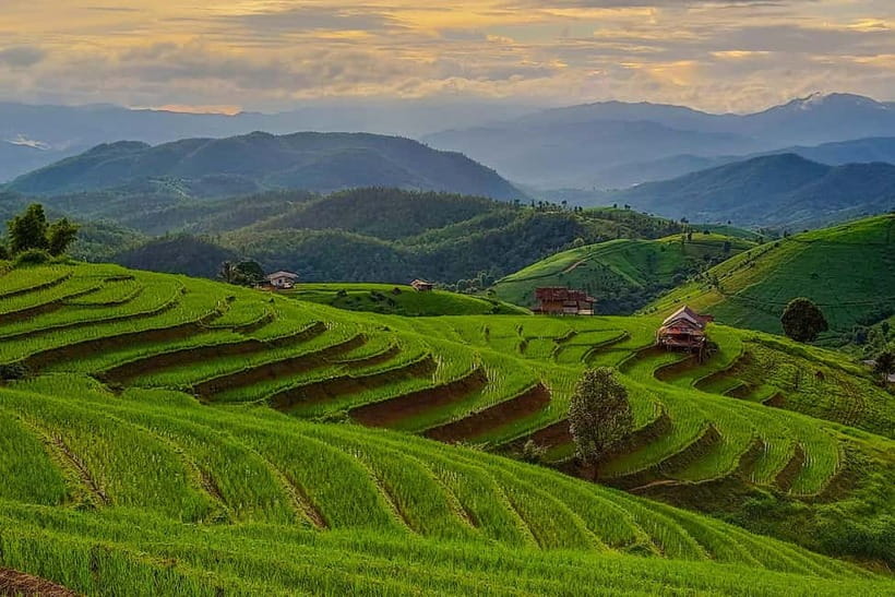 Chiang Mai : Pa Bong Piang Rice Terraces & Doi Inthanon - Phra That Mae Klang Luang and the Twin Pagodas