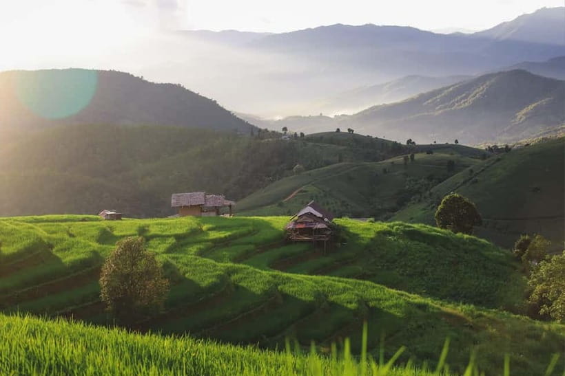 Chiang Mai : Pa Bong Piang Rice Terraces & Doi Inthanon - Wachirathan Waterfall, Where the Mist Hits