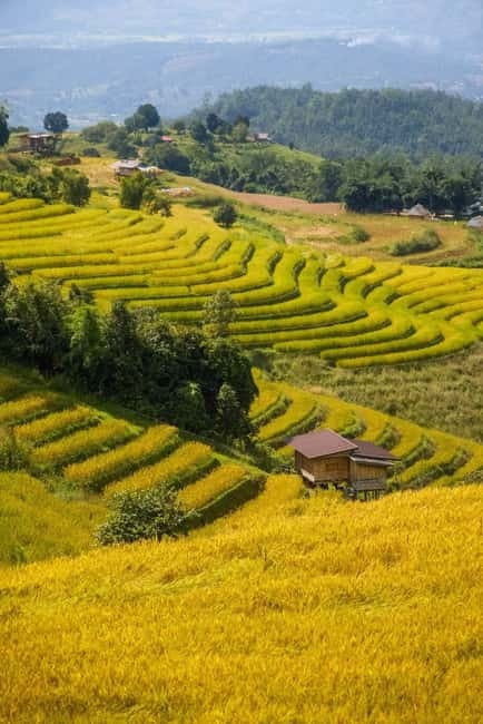 Chiang Mai : Pa Bong Piang Rice Terraces & Doi Inthanon - Price and Value, Is It Worth $77?