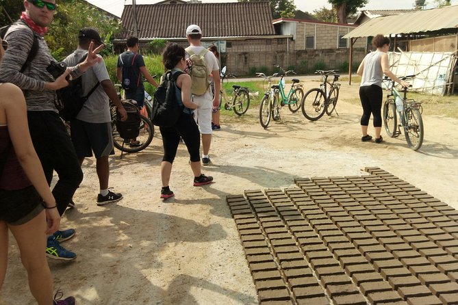 Chiang Mai Paradise Full-Day Cycling Adventure Tour - Riding the Ping River: Scenery First, Then Villages, Rice, and Orchards