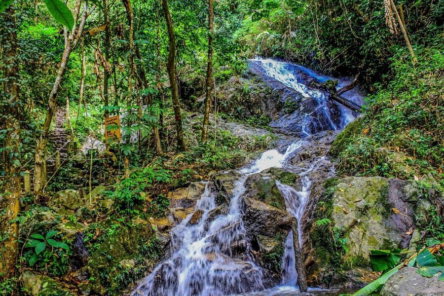 Chiang Mai: Pha Dok Siew Nature Trail & Doi Inthanon Trip - White Karen Coffee Plantation Lunch Stop: A Real Break, Not Just a Food Stop