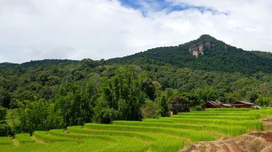 Chiang Mai: Pha Dok Siew Nature Trail & Doi Inthanon Trip - Hmong Tribal Market Shopping: What to Buy and How to Keep It Fun