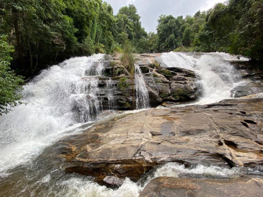 Chiang Mai: Pha Dok Siew Nature Trail & Doi Inthanon Trip - Getting There From Old Town or Nimman: The 7:00 to 7:30 Pickup Rhythm