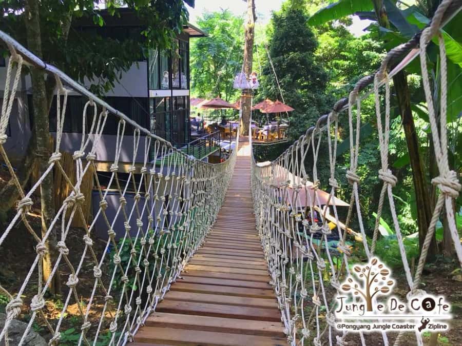 Chiang Mai: Pongyang Jungle Coaster and Zip Line Tour - What You’ll Love Most On This Pongyang Jungle Adventure